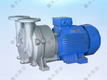 2BV水環(huan)式真(zhen)空泵(beng)