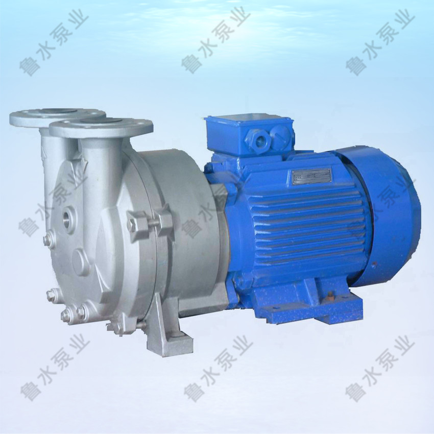 2BV水(shui)環式(shi)真空(kong)泵