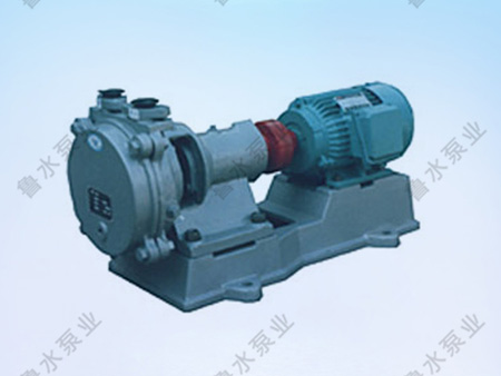 SZB系列水(shui)環式真(zhen)空泵