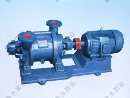 SZ系列(lie)水環式(shi)真空泵(beng)