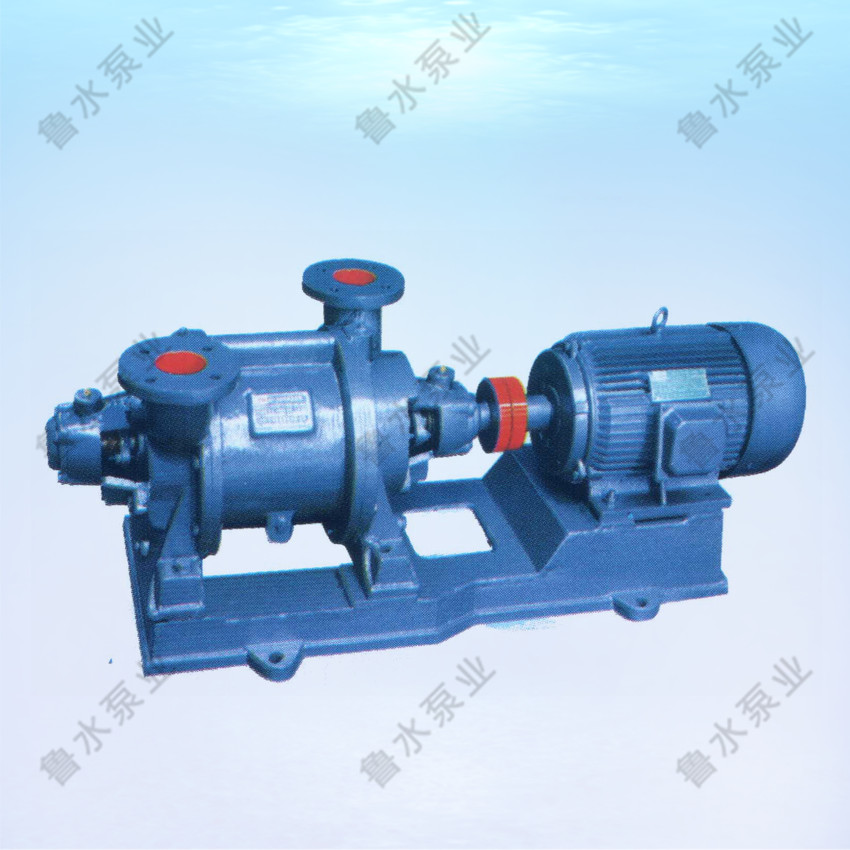 SZ系列(lie)水環(huan)式真(zhen)空泵(beng)